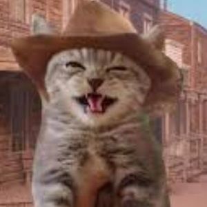 Meet your Posher, Abigail